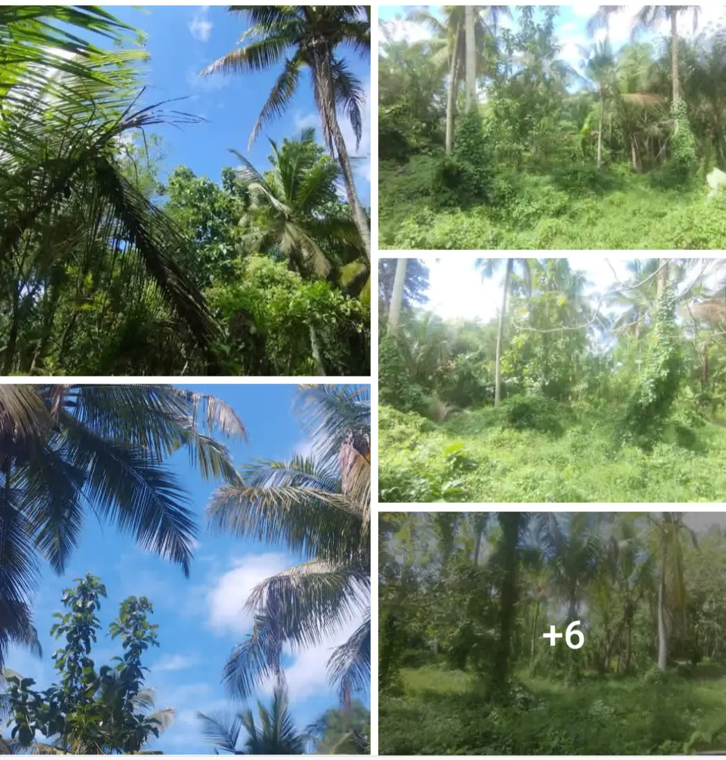 33 Perches Land for Sale in Dambadeniya