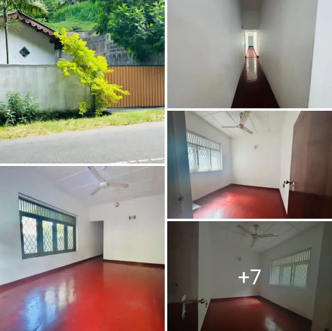 Rent House Kandy Road, Gettuwana